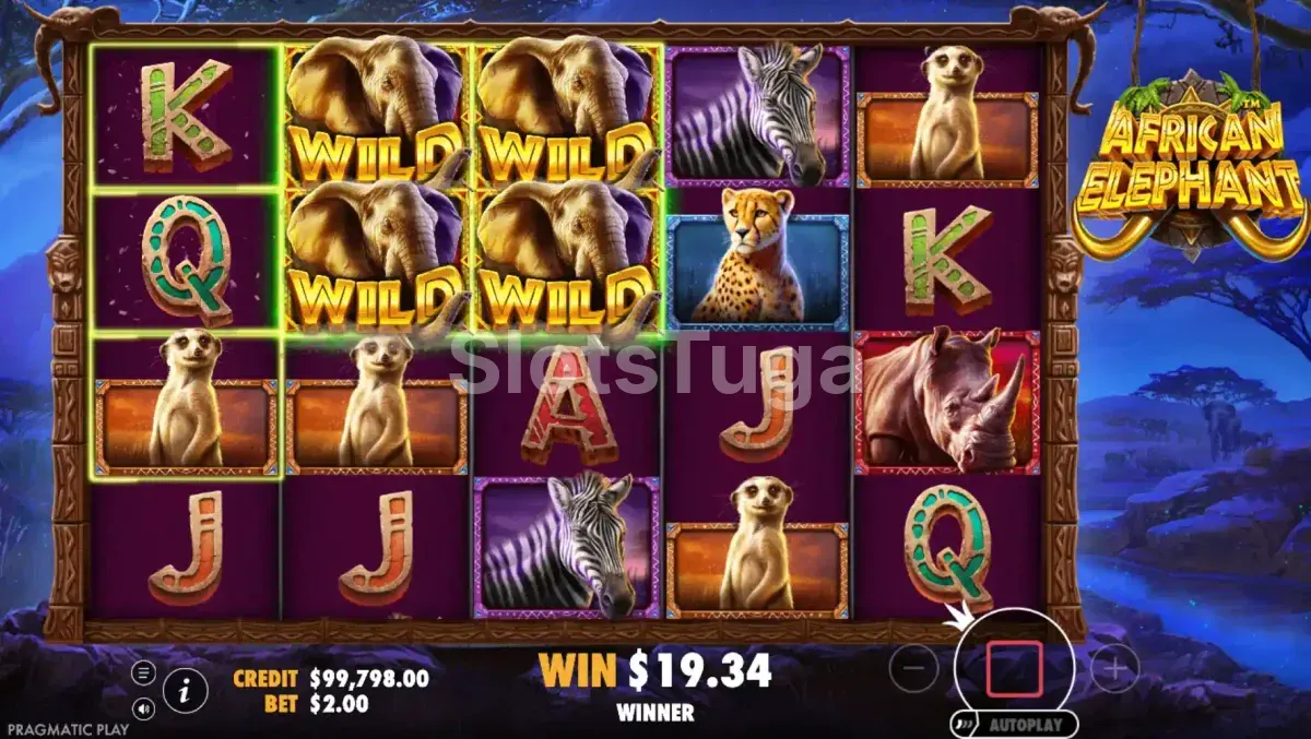 Rodadas grátis ativadas na slot African Elephant com multiplicadores em ação