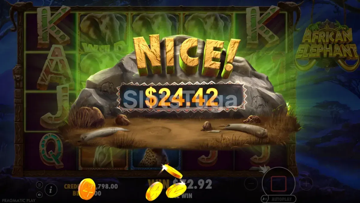 Grande vitória na slot African Elephant com multiplicadores acumulados