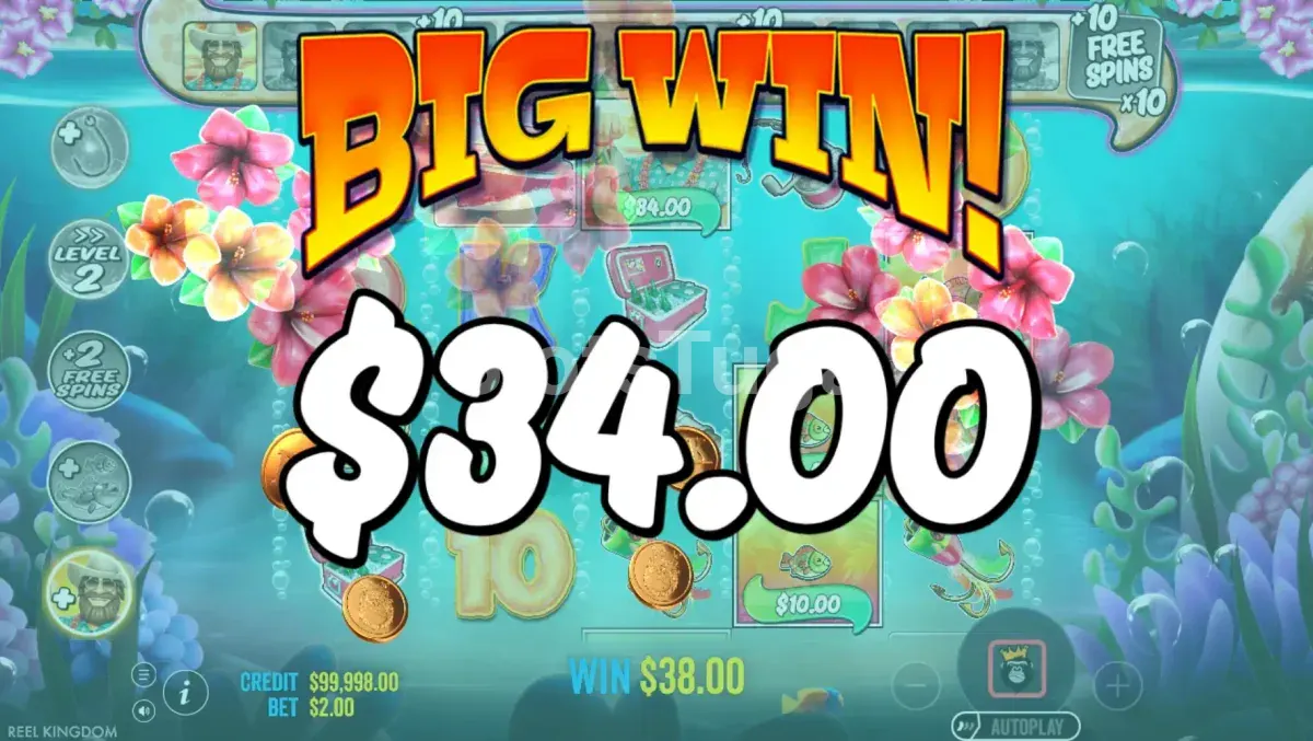 Grande vitória na slot Bigger Bass Splash com multiplicadores ativos