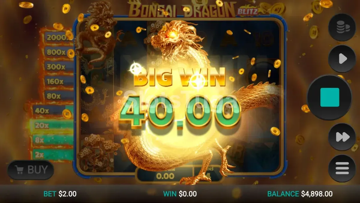 Grande vitória na Bonsai Dragon Blitz Dream Drop com o placar de prêmio em destaque