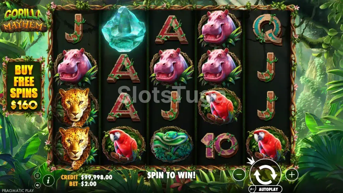 Jogo base da Gorilla Mayhem com rouleaux e selva ao fundo