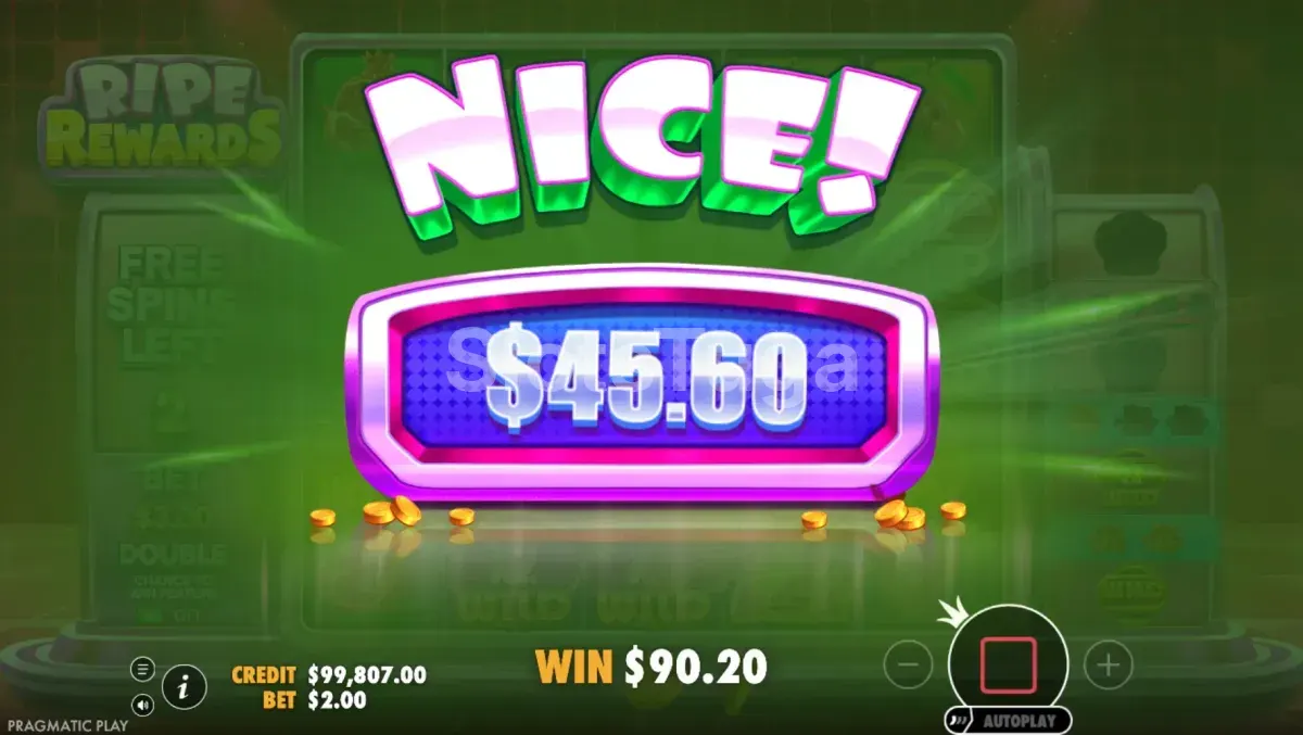 Big win na slot Ripe Rewards com multiplicadores empilhados