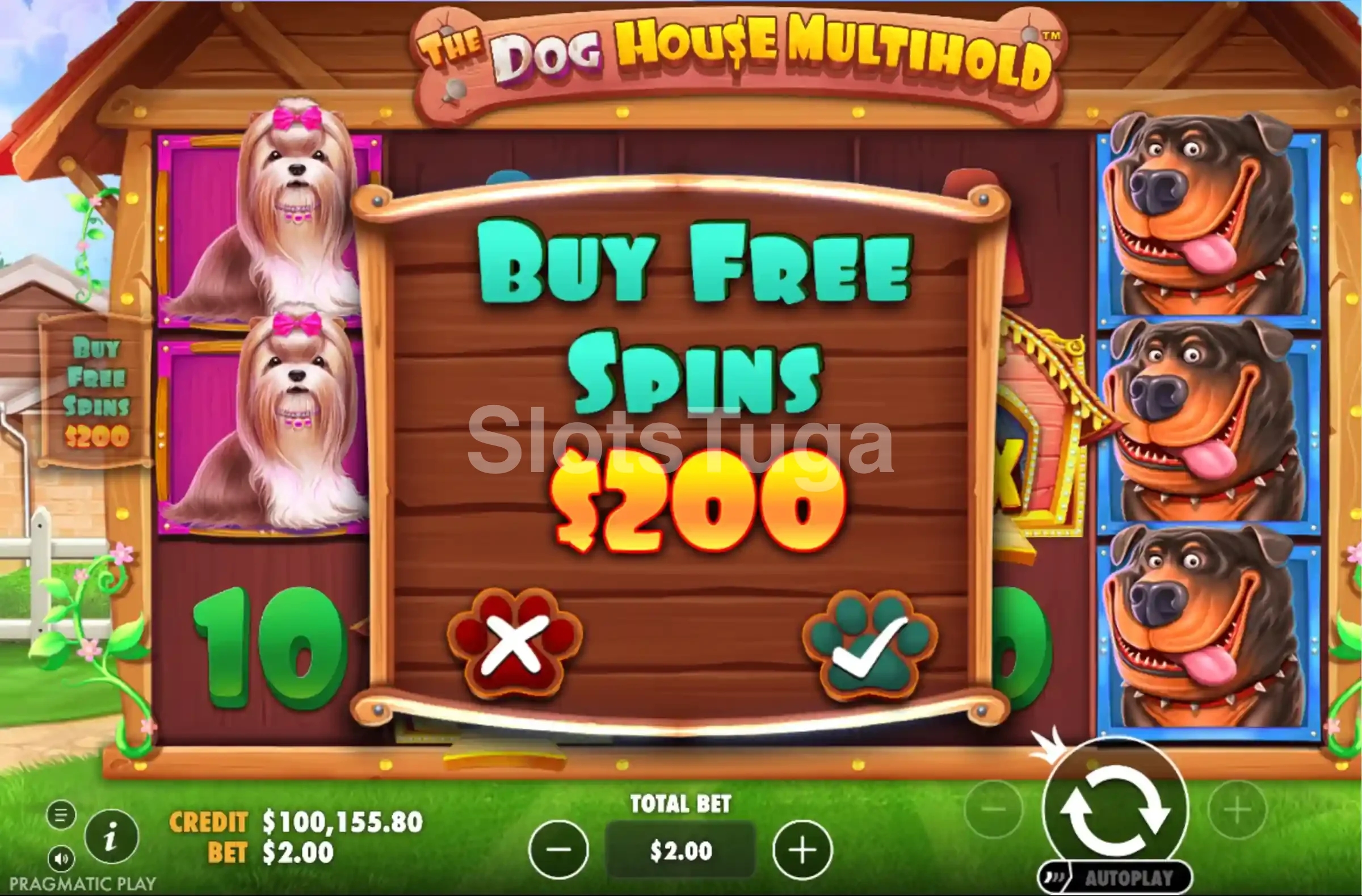 Opção de compra de bônus no The Dog House Multihold