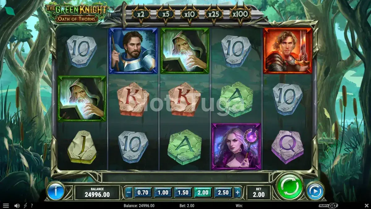 Segundo plano do jogo base de The Green Knight Oath of Thorns com wilds na tela