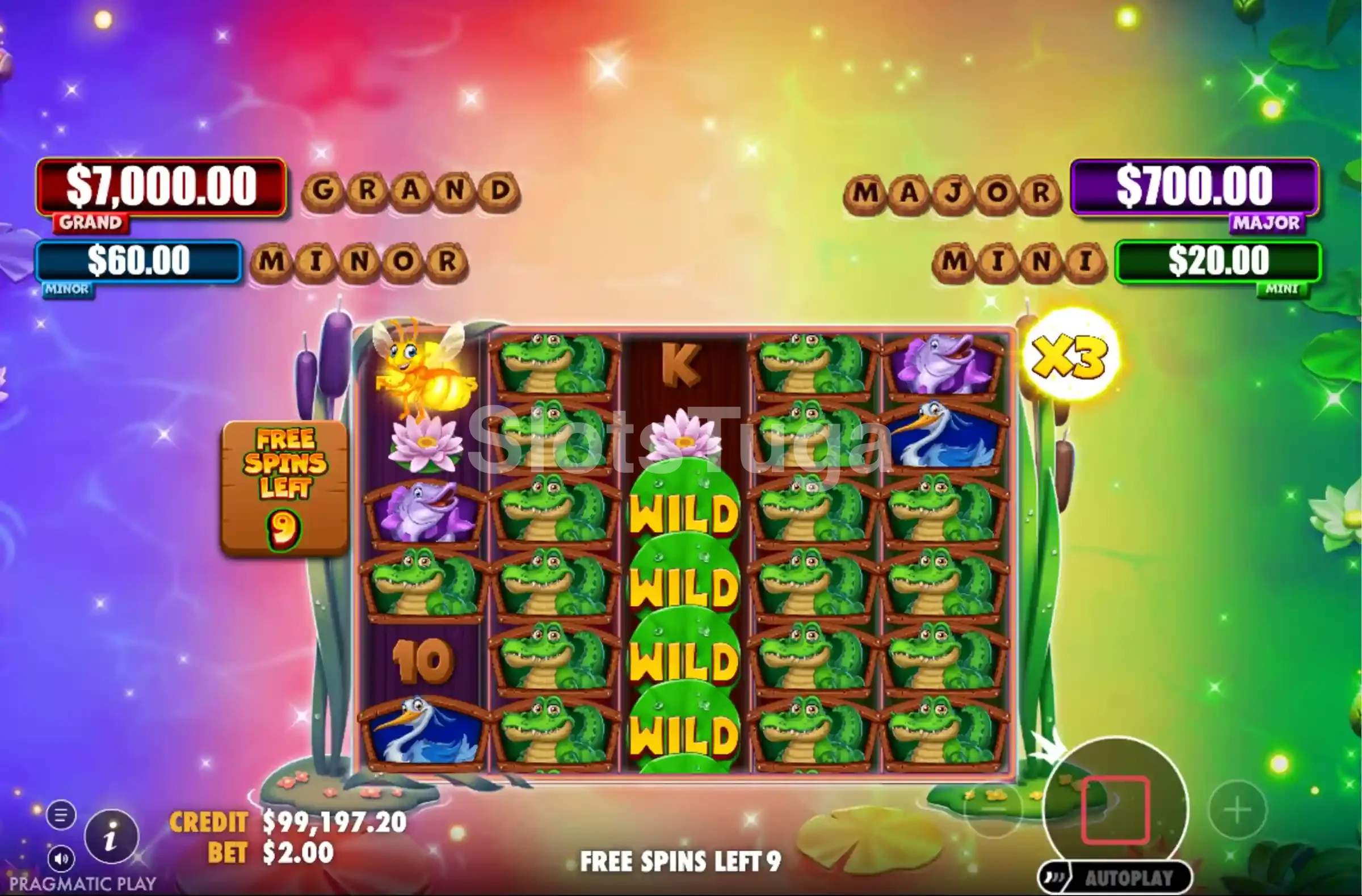 Rodadas grátis da slot Tiny Toads em ação