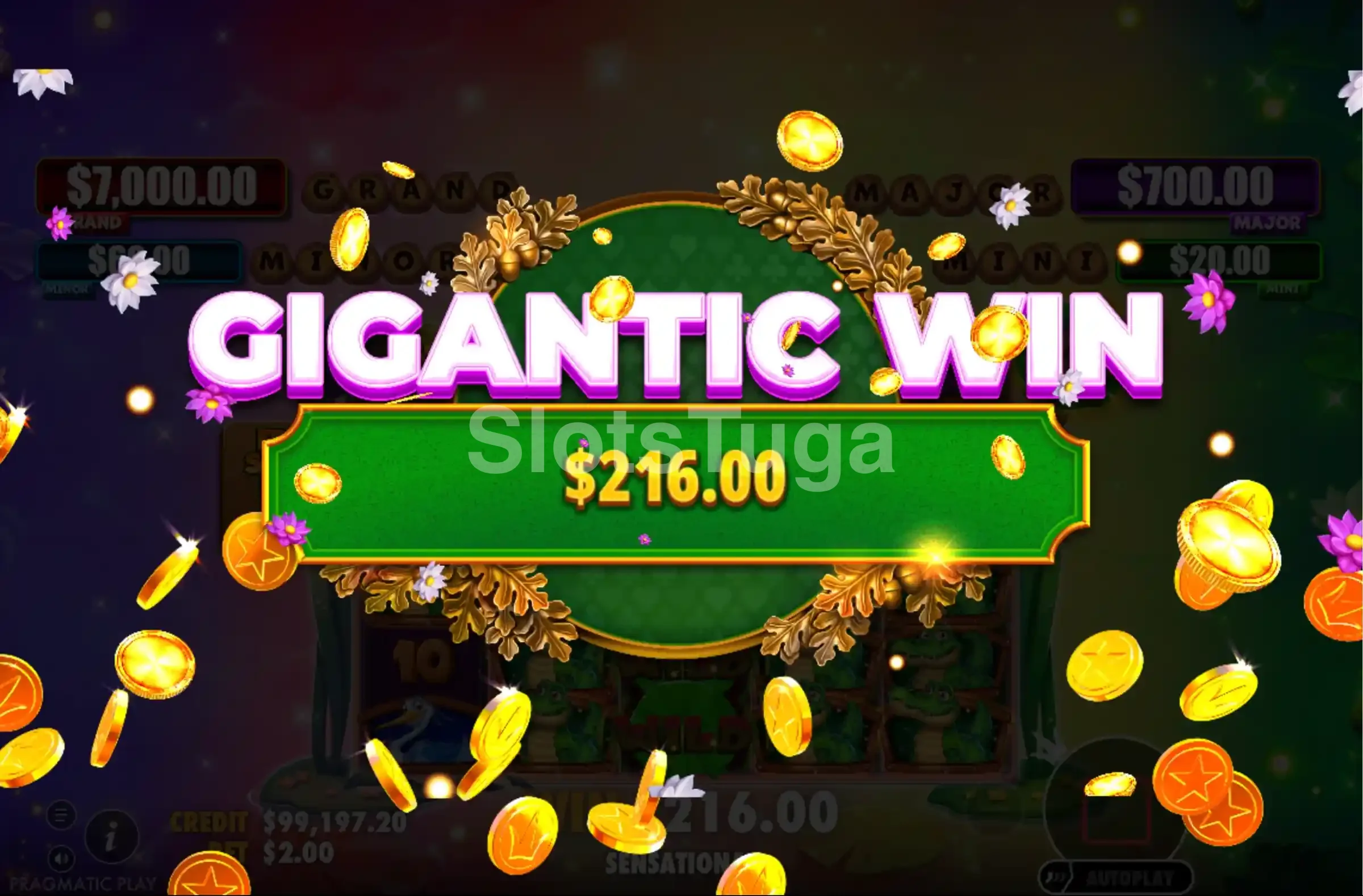 Grande vitória na slot Tiny Toads Pragmatic Play