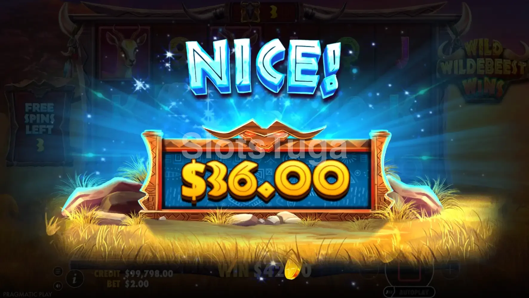 Big win épico acontecendo no Wild Wildebeest Wins
